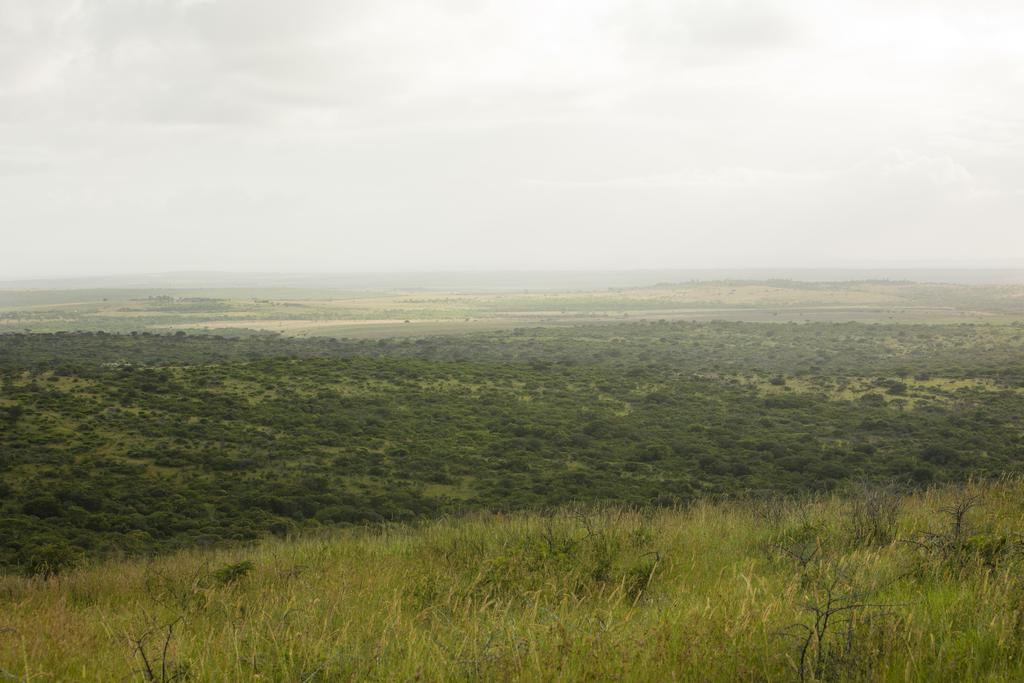 Zululand Tree Lodge Hluhluwe Exterior foto
